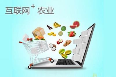 萬動(dòng)力淺析農(nóng)產(chǎn)品電商APP開發(fā)方案 構(gòu)建互聯(lián)網(wǎng)銷售新生態(tài)